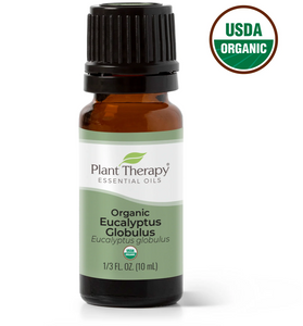 Organic Eucalyptus Globulus Essential Oil