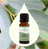 Organic Eucalyptus Globulus Essential Oil