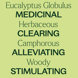 Organic Eucalyptus Globulus Essential Oil