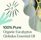 Organic Eucalyptus Globulus Essential Oil