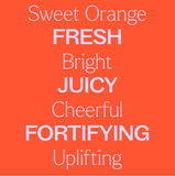 Sweet Orange Body Oil