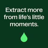 Balsam Noir Naturally Scented Candle