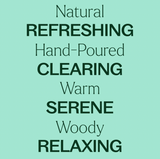 Balsam Noir Naturally Scented Candle