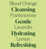 Defender Foaming Hand Soap Refill 32 oz