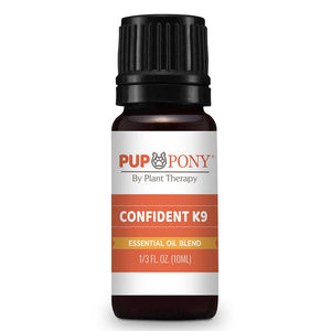 Confident K9