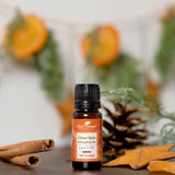 Citrus Spice & Everything Nice Oil Blend
