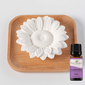Gift Passive Diffuser